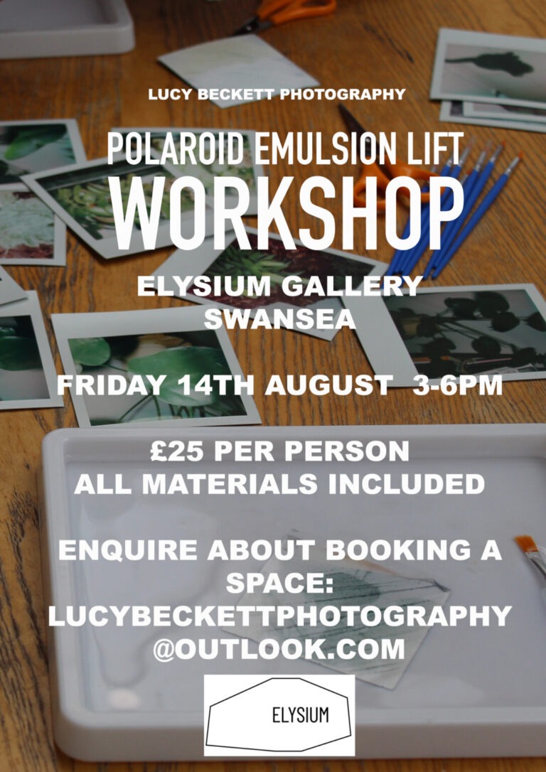 Polaroid Emulsion Lift Workshop