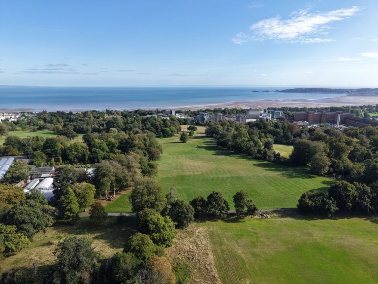 Live Music Returns to Singleton Park as Swansea Launches New Summer Concert Series for 2027